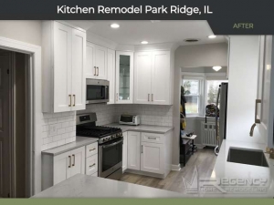 Kitchen Remodel - 607 S Greenwood Ave, Park Ridge, IL 60068 by Regency Home Remodeling