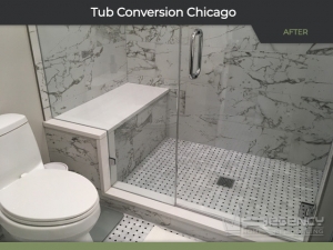 Master Bath Remodel - 2555 N Southport Ave, Chicago, IL 60614 by Regency Home Remodeling