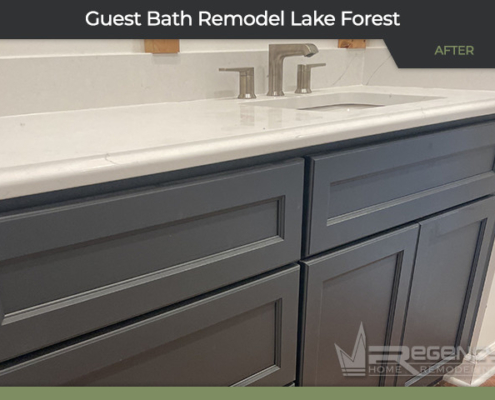 Guest Bath Remodel - 327 S Basswood Rd, Lake Forest, IL 60045 by Regency Home Remodeling
