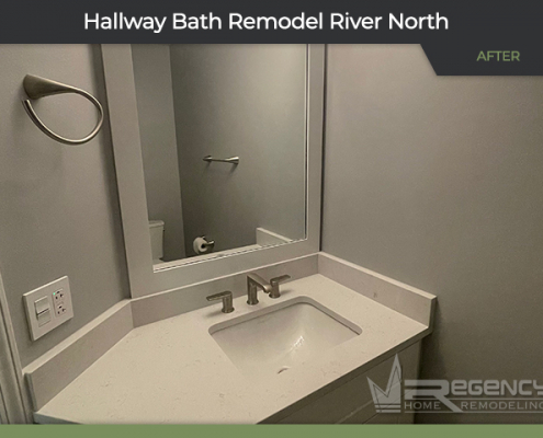 Hall Bath Remodel - 340 W Superior St, Chicago, IL 60654 by Regency Home Remodeling