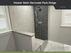 Master Bath Remodel - 241 Gillick St, Park Ridge, IL 60068 by Regency Home Remodeling