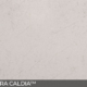 MSI Quartz Carrara Caldia Countertop
