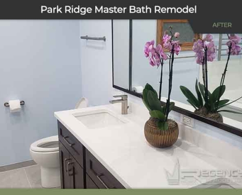 Master Bath Remodel - 215 N Home Ave, Park Ridge, IL 60068 by Regency Home Remodeling